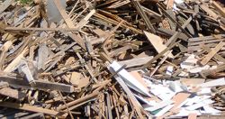 Basura orgánica
