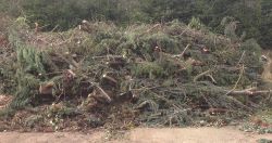 Green waste